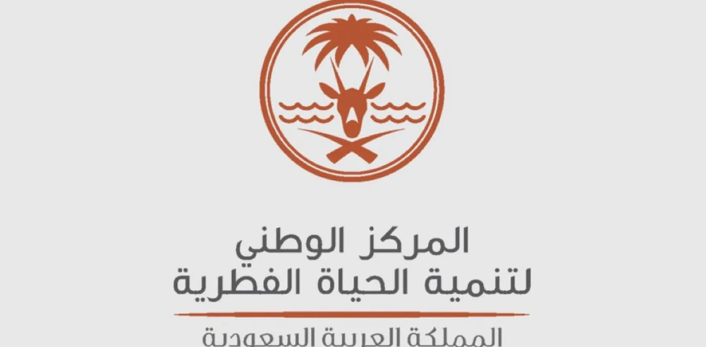 الحياة الفطرية تعلن وصول أعداد كبيرة من القرود للرياض لأول مرة