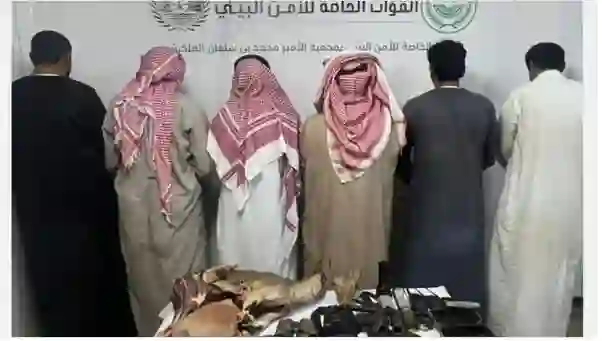 السعودية تحدد العقوبات التي ستطبق على من يصطاد الوعل البري 